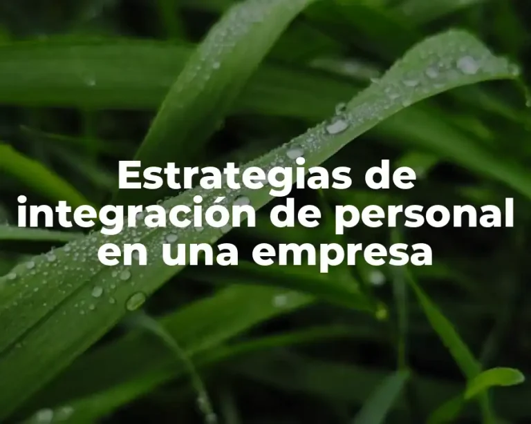 Estrategias de integración de personal en una empresa
