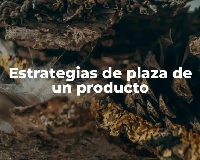 Estrategias de plaza de un producto