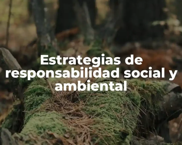 Estrategias de responsabilidad social y ambiental