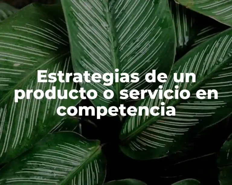 Estrategias de un producto o servicio en competencia
