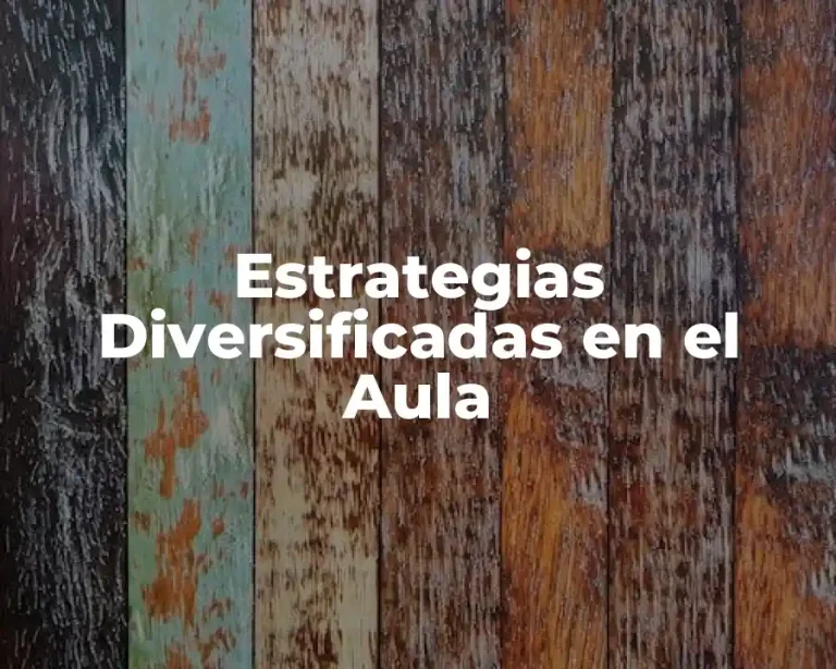 Estrategias Diversificadas en el Aula