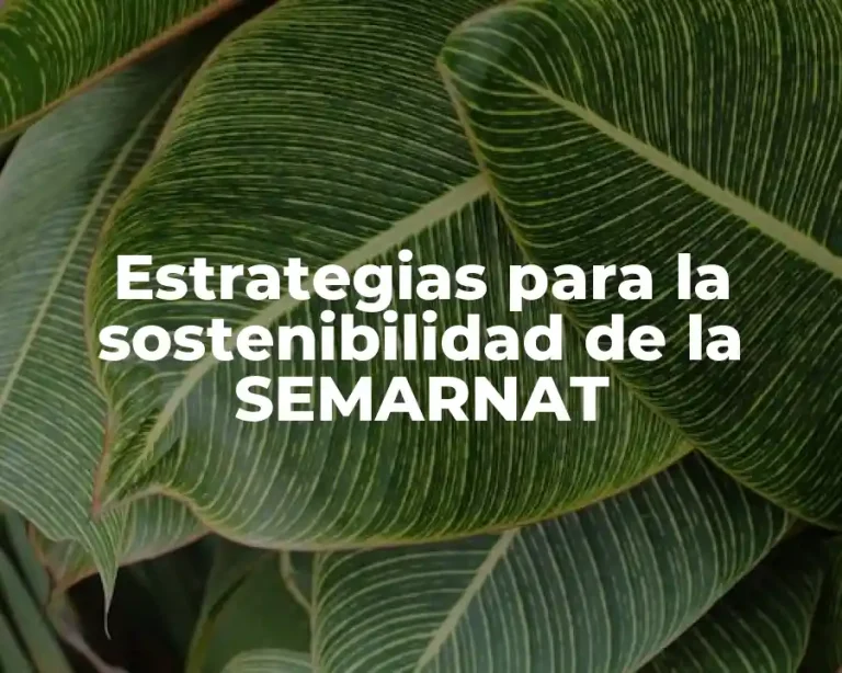 Estrategias para la sostenibilidad de la SEMARNAT