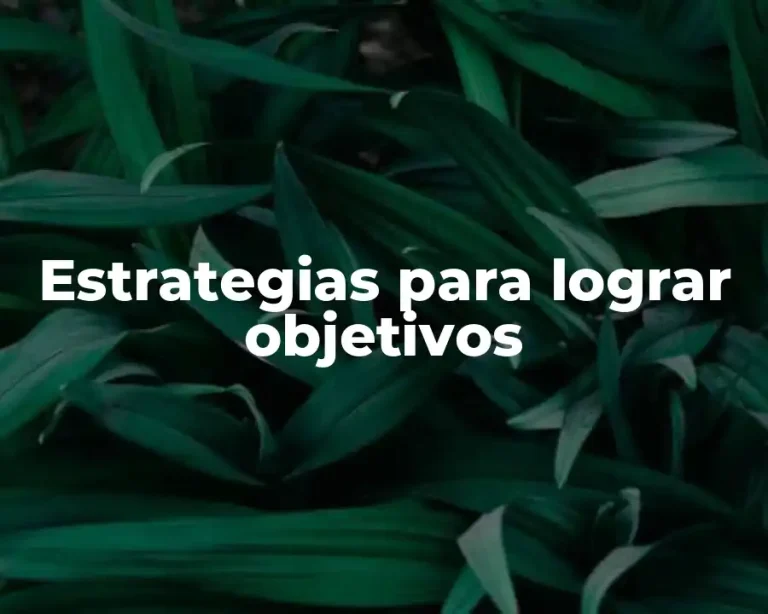 Estrategias para lograr objetivos