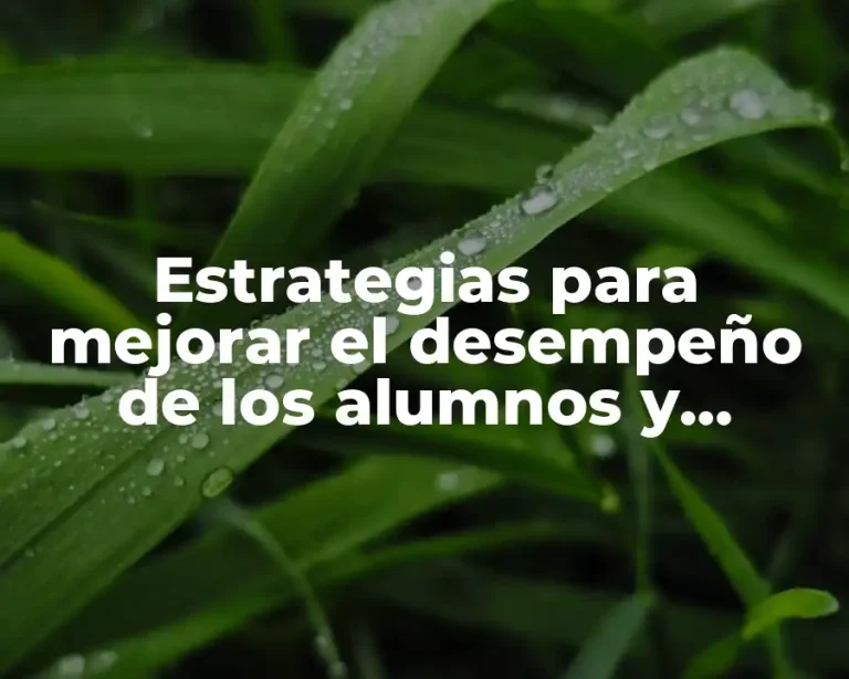 Estrategias para mejorar el desempeño de los alumnos y Significado