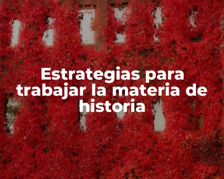 Estrategias para trabajar la materia de historia
