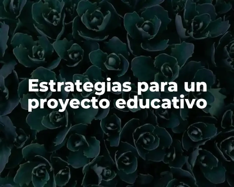Estrategias para un proyecto educativo