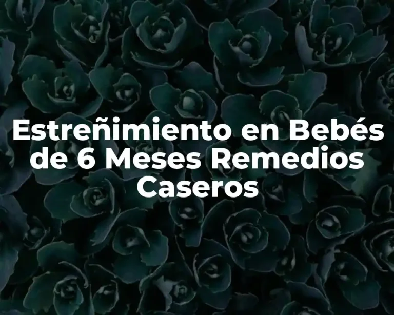 Estreñimiento en Bebés de 6 Meses Remedios Caseros