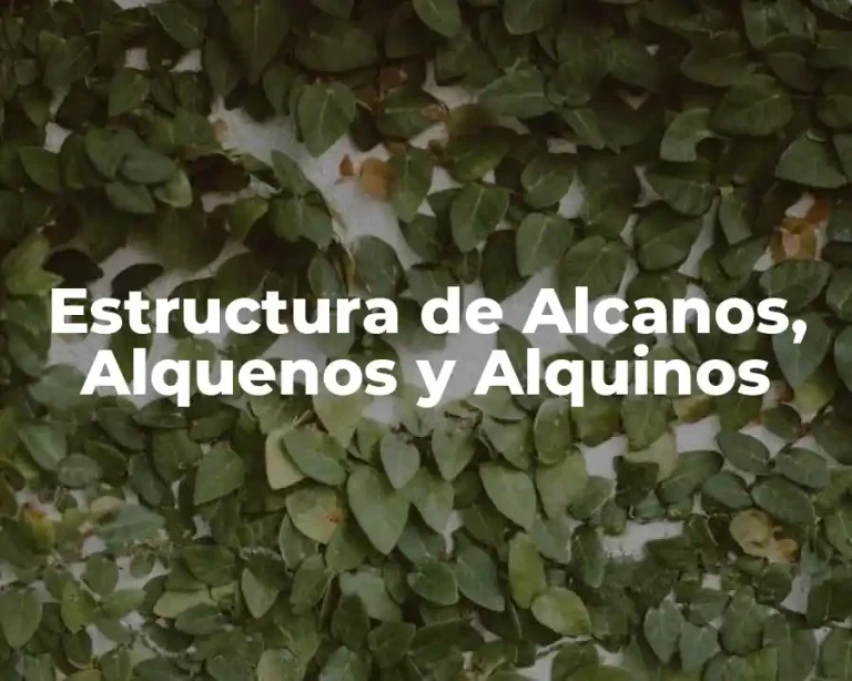Estructura de Alcanos, Alquenos y Alquinos