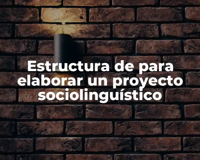 Estructura de para elaborar un proyecto sociolinguístico