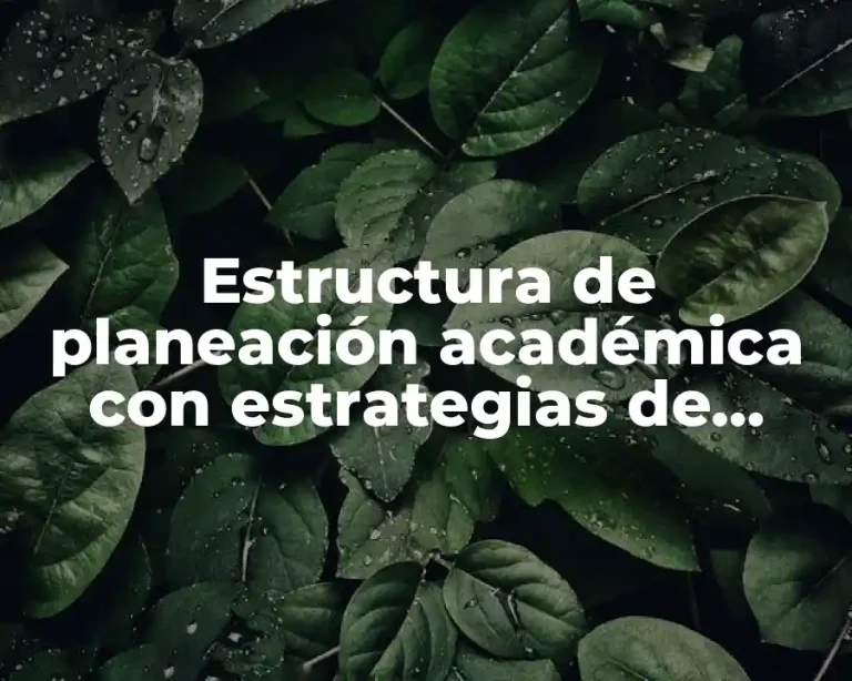 Estructura de planeación académica con estrategias de aprendizaje