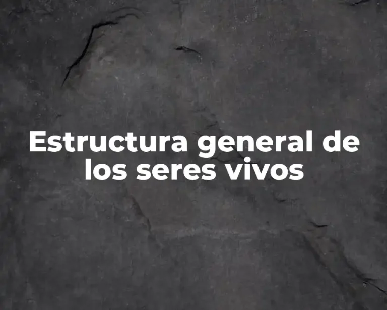 Estructura general de los seres vivos