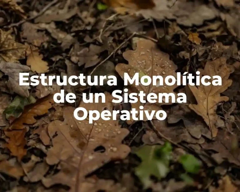 Estructura Monolítica de un Sistema Operativo