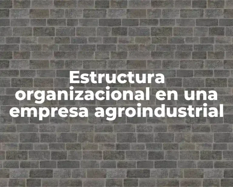 Estructura organizacional en una empresa agroindustrial