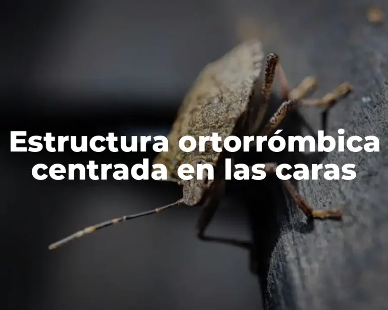 Estructura ortorrómbica centrada en las caras