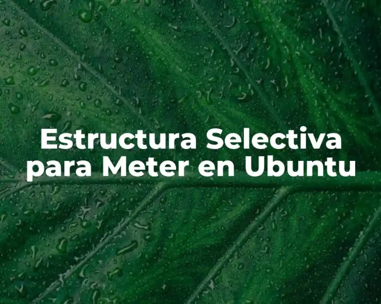 Estructura Selectiva para Meter en Ubuntu