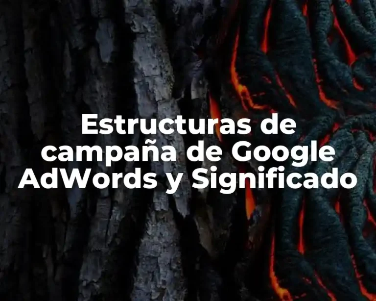 Estructuras de campaña de Google AdWords y Significado