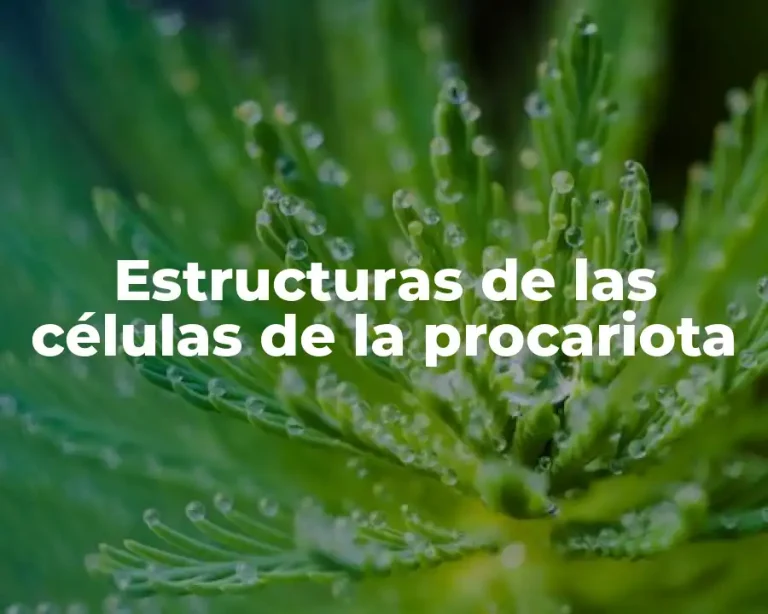 Estructuras de las células de la procariota
