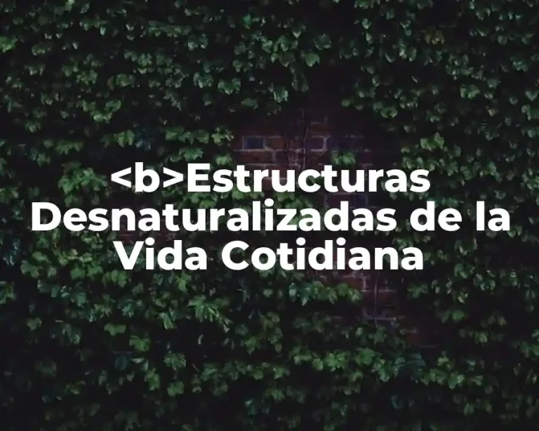 <b>Estructuras Desnaturalizadas de la Vida Cotidiana