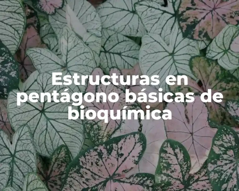 Estructuras en pentágono básicas de bioquímica