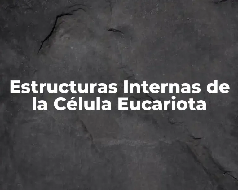 Estructuras Internas de la Célula Eucariota