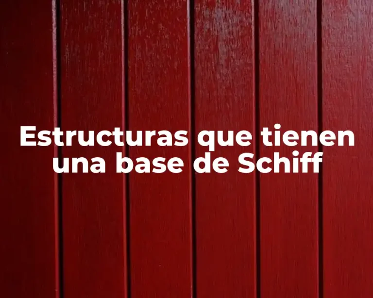 Estructuras que tienen una base de Schiff