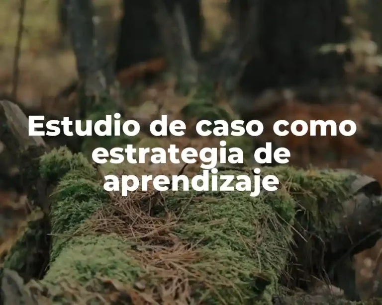 Estudio de caso como estrategia de aprendizaje