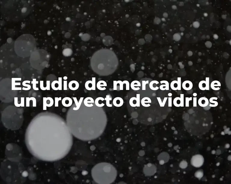 Estudio de mercado de un proyecto de vidrios