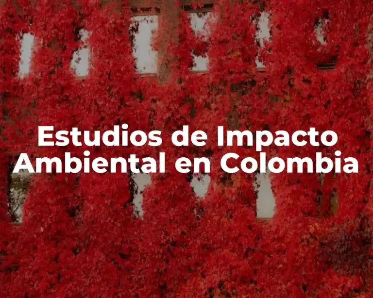 Estudios de Impacto Ambiental en Colombia