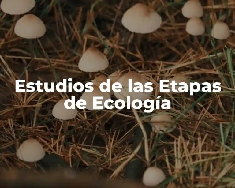 Estudios de las Etapas de Ecología