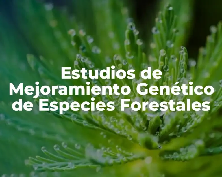 Estudios de Mejoramiento Genético de Especies Forestales
