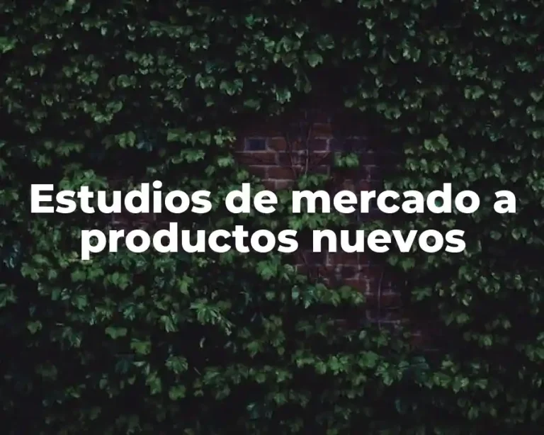 Estudios de mercado a productos nuevos