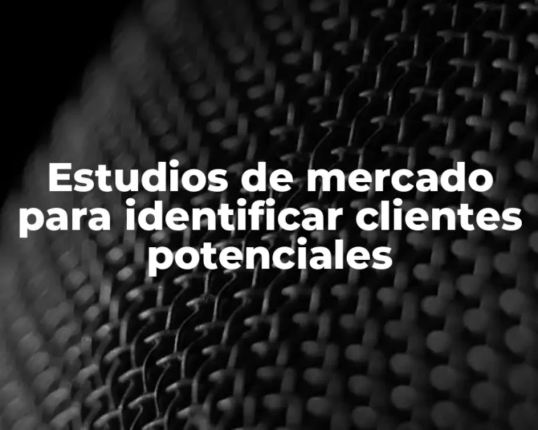 Estudios de mercado para identificar clientes potenciales