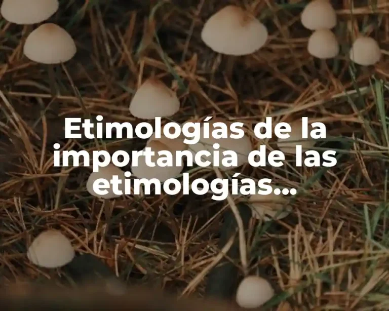 Etimologías de la importancia de las etimologías grecolatinas