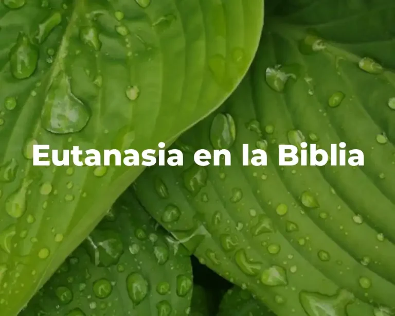 Eutanasia en la Biblia