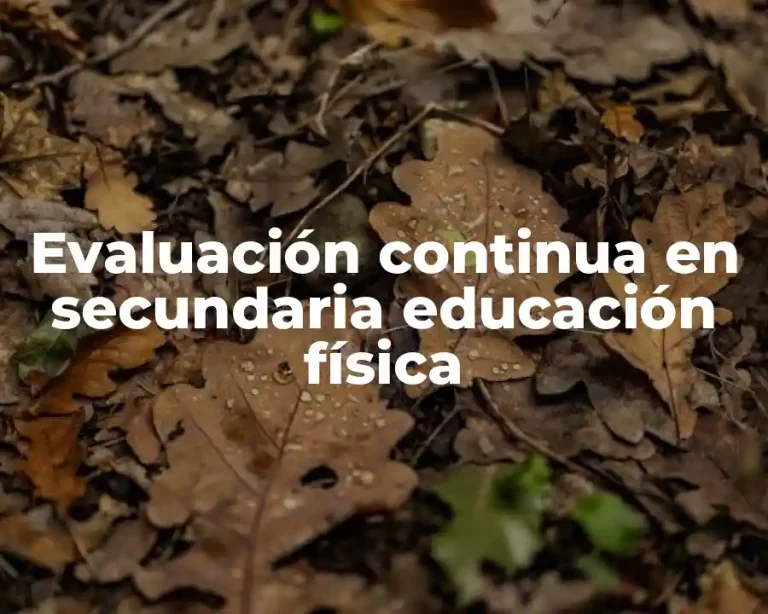 Evaluación continua en secundaria educación física