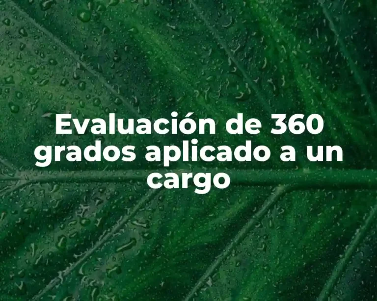 Evaluación de 360 grados aplicado a un cargo