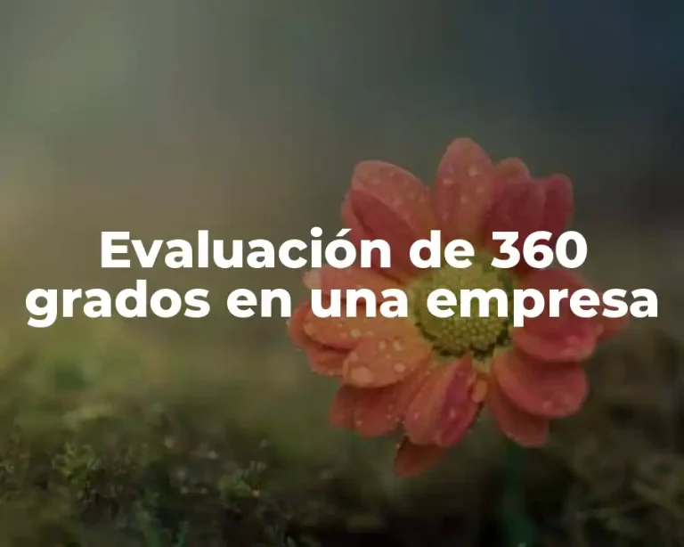 Evaluación de 360 grados en una empresa