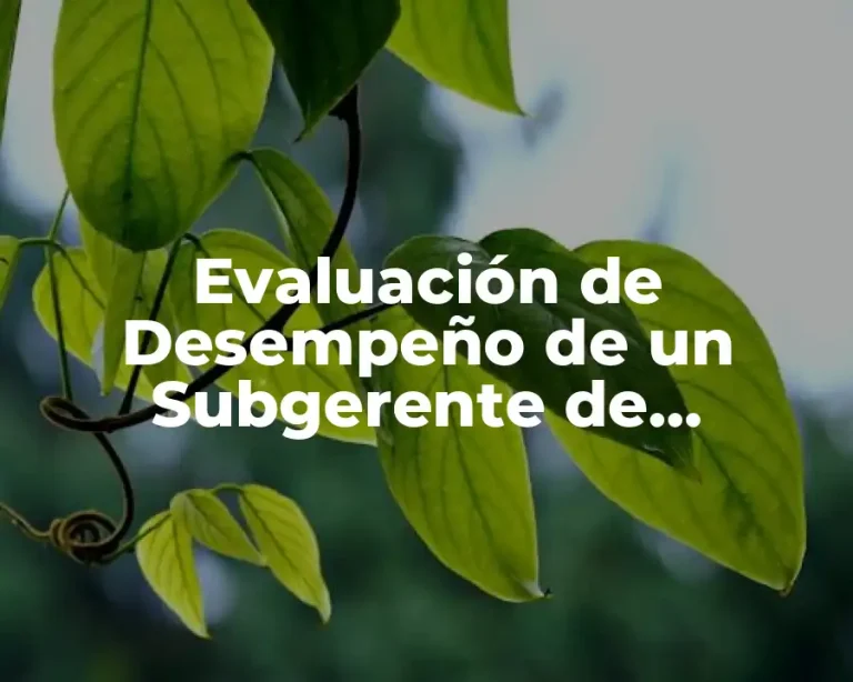 Evaluación de Desempeño de un Subgerente de Autoservicio
