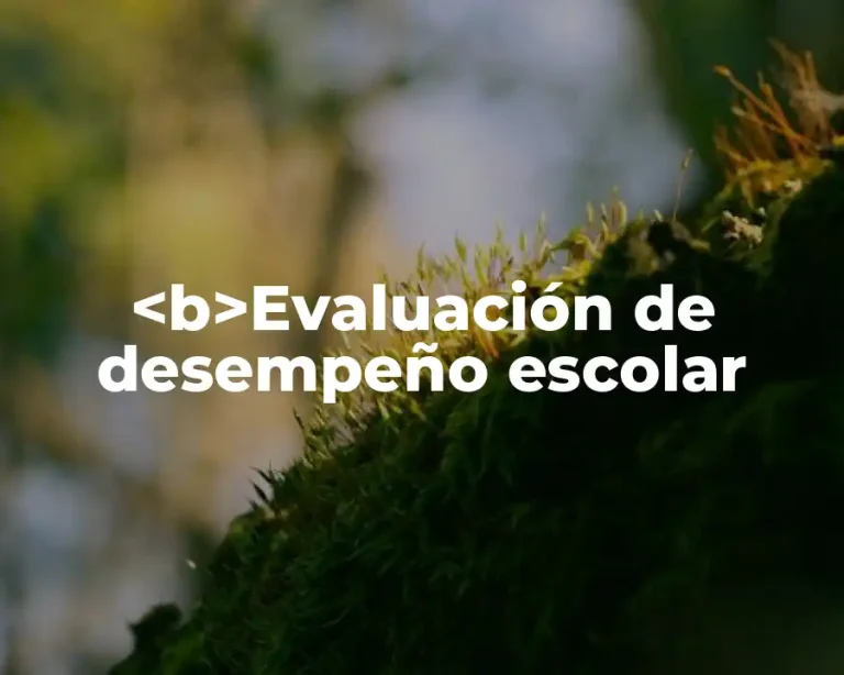 <b>Evaluación de desempeño escolar