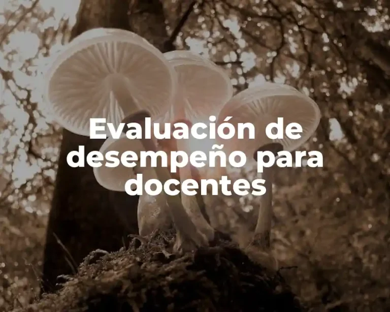 Evaluación de desempeño para docentes