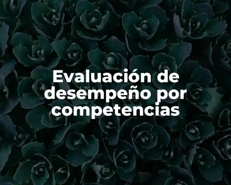 Evaluación de desempeño por competencias