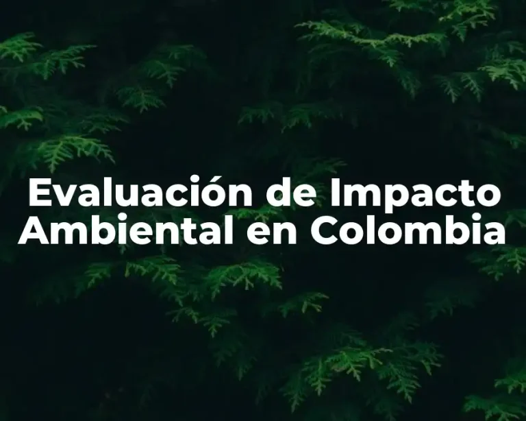 Evaluación de Impacto Ambiental en Colombia