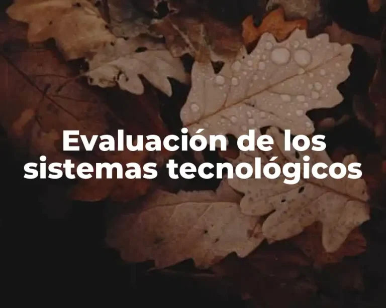 Evaluación de los sistemas tecnológicos