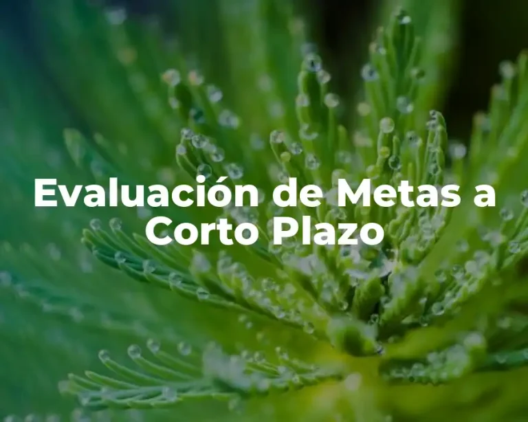 Evaluación de Metas a Corto Plazo