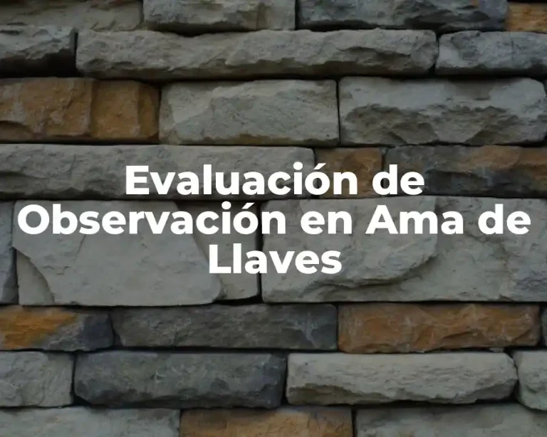 Evaluación de Observación en Ama de Llaves