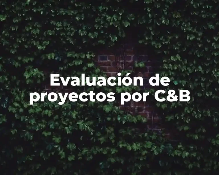 Evaluación de proyectos por C&B