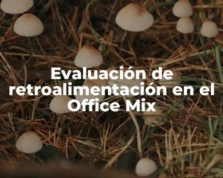 Evaluación de retroalimentación en el Office Mix