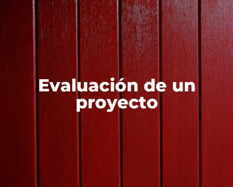 Evaluación de un proyecto