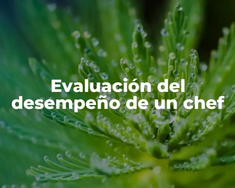 Evaluación del desempeño de un chef