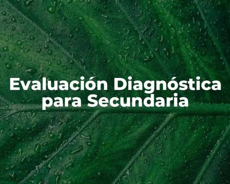 Evaluación Diagnóstica para Secundaria